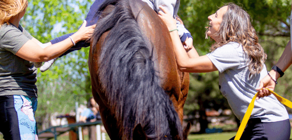 Imantyn - raices ecuestres - imagen destacada