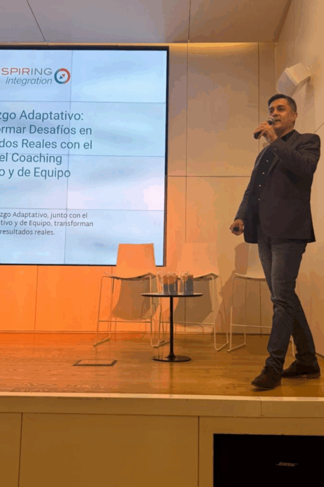 inspiring integration imantyn